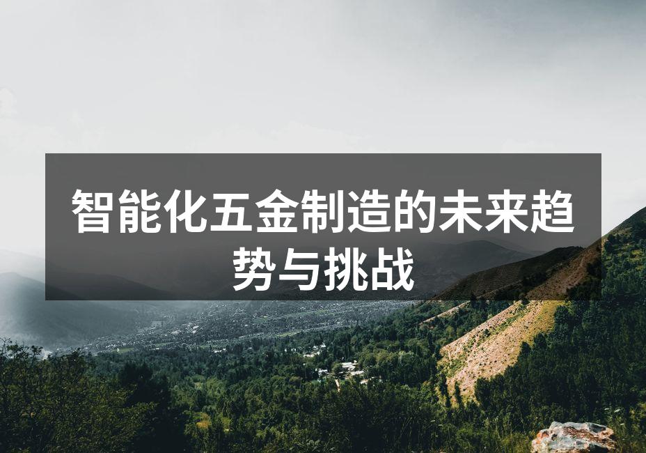 智能化五金制造的未来趋势与挑战
